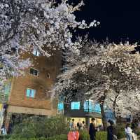 Shop and see cherry blossoms at Hongdae