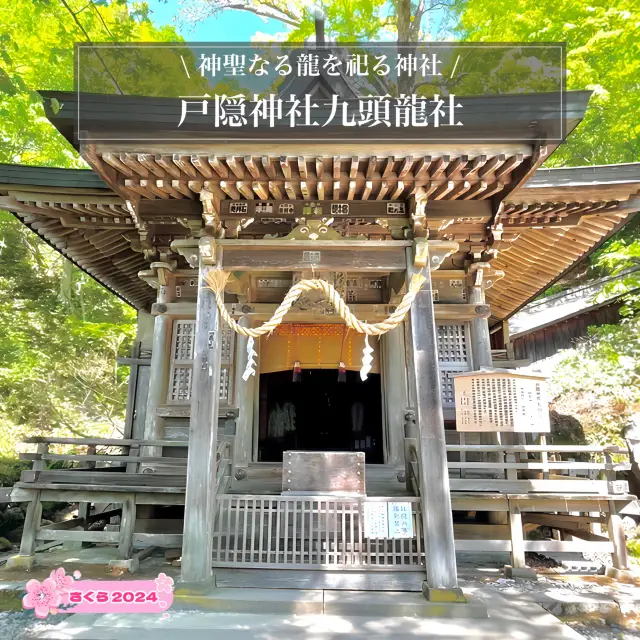 【長野県/戸隠神社九頭龍社】神聖なる龍を祀る神社