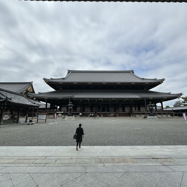 Chasing final Sakura at Osaka and Kyoto - Mid April 