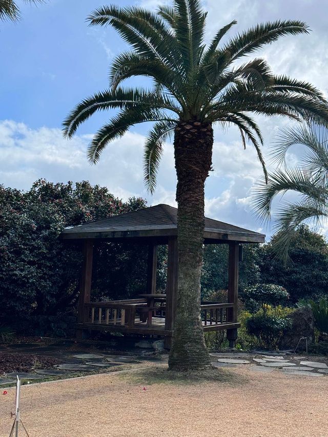 🗝𖧷 제주도 남원 가볼만한곳 카페 루브린라운지🪧🍞