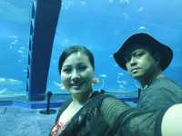 🌊ท่องโลกใต้ทะเลที่ Okinawa Churaumi Aquarium