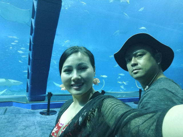 🌊ท่องโลกใต้ทะเลที่ Okinawa Churaumi Aquarium