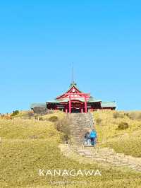 【神奈川/箱根】ロープウェイで天空の社殿へ 