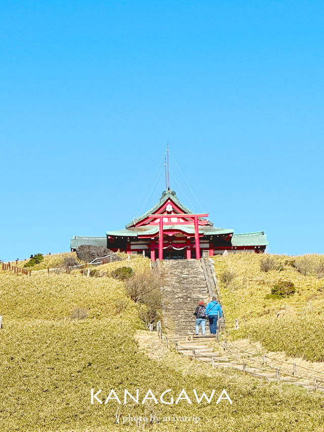 【神奈川/箱根】ロープウェイで天空の社殿へ 