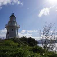 Charming coastal town in New Zealand