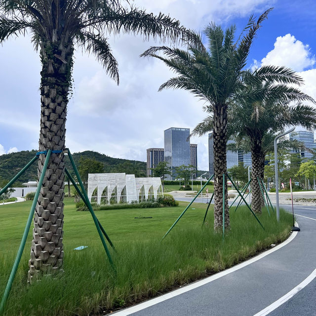 橫琴📍世外桃源般的咖啡牛扒店