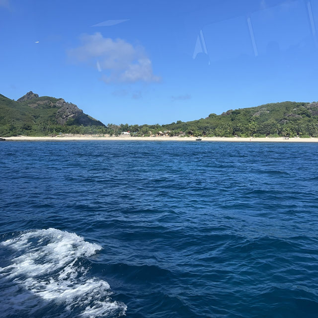 🦈 Shark Diving Experience in Fiji 🇫🇯 