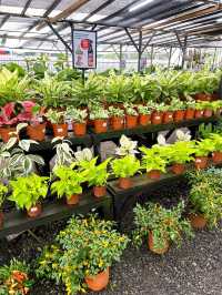Why Choose AGRO Nursery?