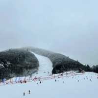 札幌國際滑雪場：豐富滑雪體驗