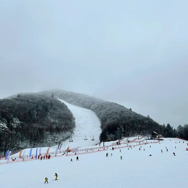 札幌國際滑雪場：豐富滑雪體驗