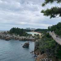 🌊 동해의 아름다운 향연, 해암정 🌊