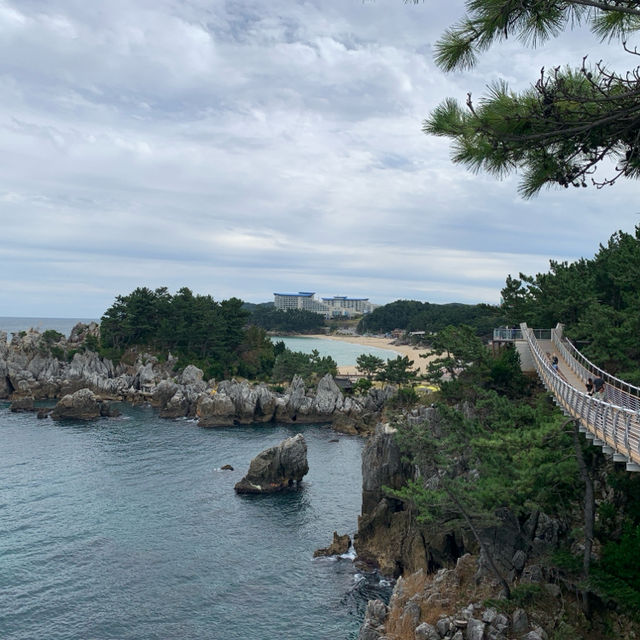 🌊 동해의 아름다운 향연, 해암정 🌊