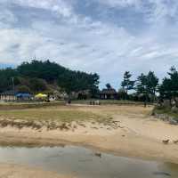 🌊 동해의 아름다운 향연, 해암정 🌊