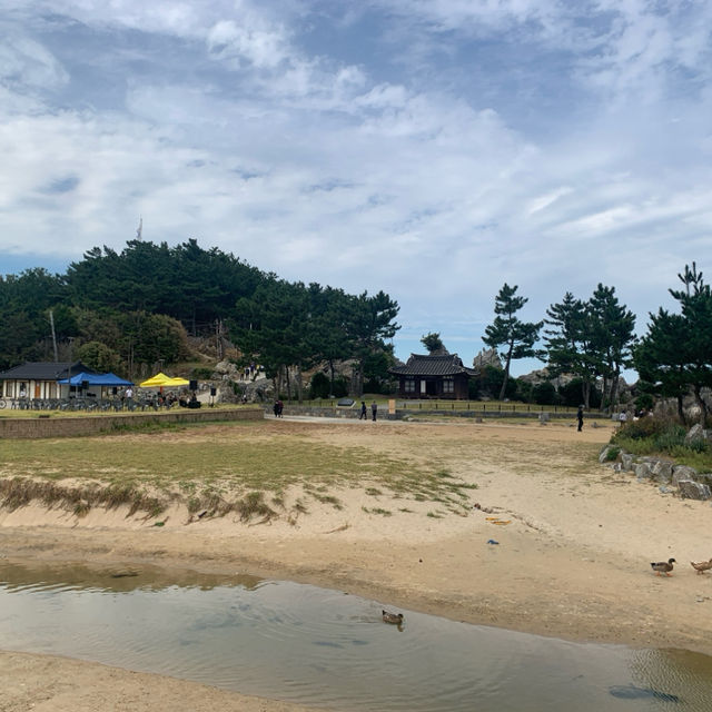 🌊 동해의 아름다운 향연, 해암정 🌊