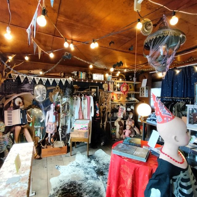 夏旅は京都へ行こう💠オープンしたばかりのサーカスみたいな雑貨屋さん