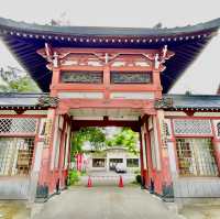 Tranquil Escape in Naritasanshinkyu-ji