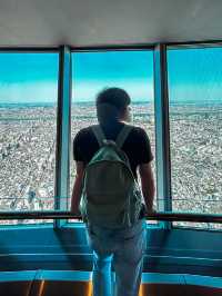 Tallest Tower in Tokyo