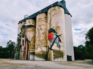 Wirrabara Silo Art