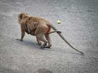 เขาหน่อ จ.นครสวรรค์