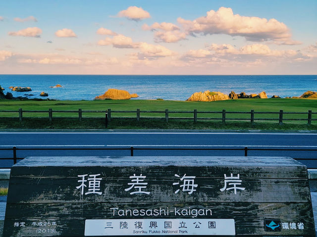 Tanesashi Coast Natural Lawn