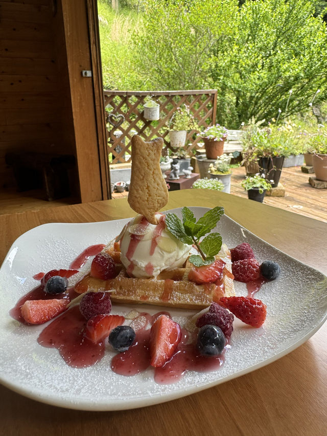 【福岡カフェ】晴れた日も雨の日も♡景色を楽しめるカフェ✨️