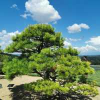 生田綠地～自然氣息
