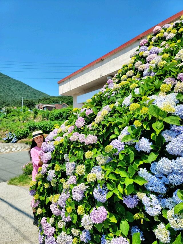 거제도에서 가장 유명한 대문집은 여기💙