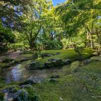 日本京都-北方能量之地，玄武震風雷：上賀茂神社