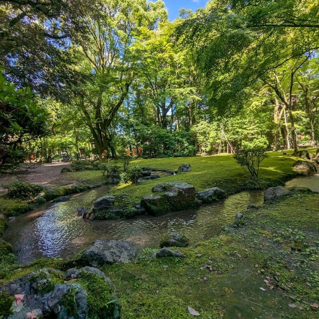 日本京都-北方能量之地，玄武震風雷：上賀茂神社