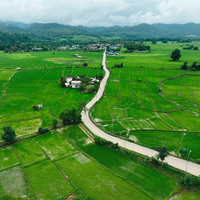 เมืองคอง เมืองคอง