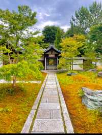 超貴重な特別拝観☺️建仁寺塔頭のお寺・西来院💙☕️期間限定のブルーボトルコーヒーとのコラボも☕️💙
