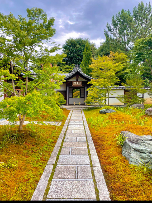 超貴重な特別拝観☺️建仁寺塔頭のお寺・西来院💙☕️期間限定のブルーボトルコーヒーとのコラボも☕️💙