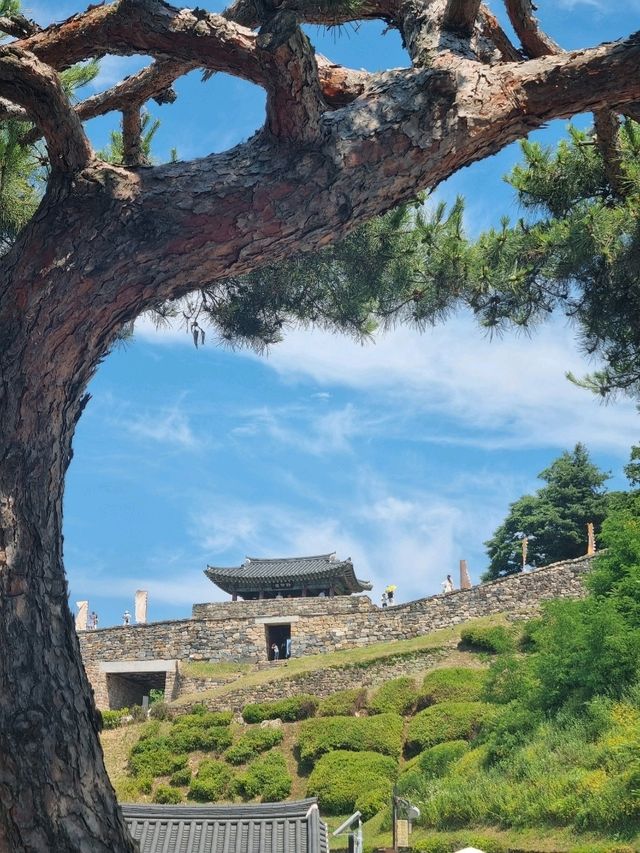 압도적인 뷰의 공산성