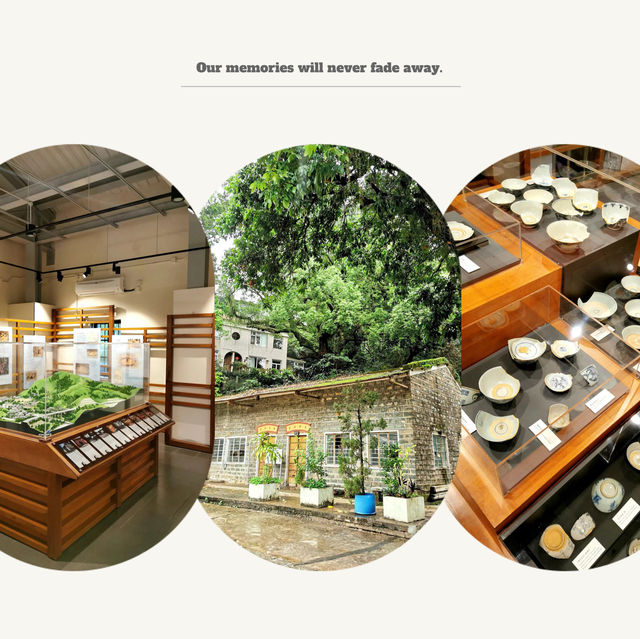 澳門茶文化館：茶藝文化之旅