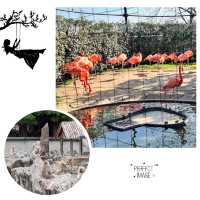 交通便利嘅動物園