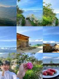 เวียดนามเหนือที่หลงรัก