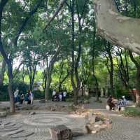 深圳中心公園：現代藝術、環保理念，多元化活動空間