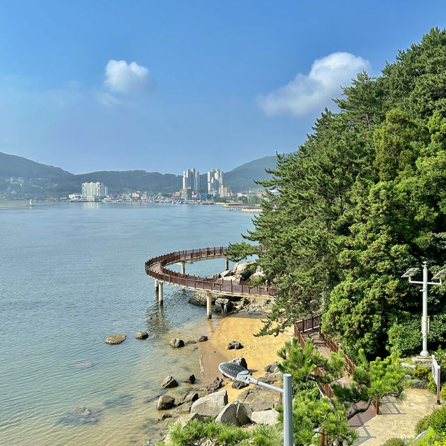 거제도의 해안산책길은 이곳, 소노캄 거제☀️