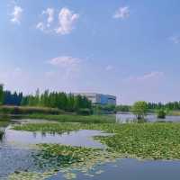 星湖濕地公園：絕佳自然勝地，令人陶醉的樂趣