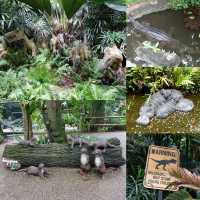 🦦🦧🦍🐟🐗新加坡奇妙野生動物園🦒🦘🐘🦚🐿️