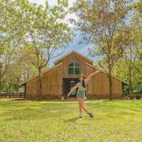 พาลูกๆ เที่ยววันแม่ ขับรถโบราณ ขาใหญ่ 