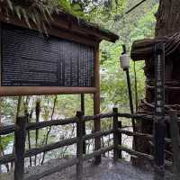 日本三大奇橋之《祖谷蔓橋》