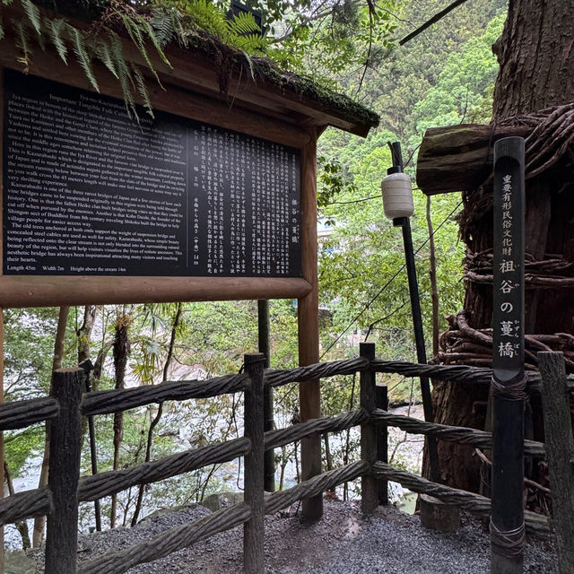 日本三大奇橋之《祖谷蔓橋》