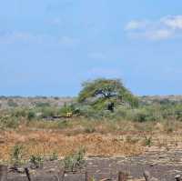 Baluran National ParkTaman Nasional Baluran