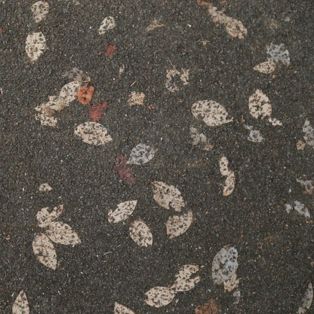 週末好去處 - 河背水塘