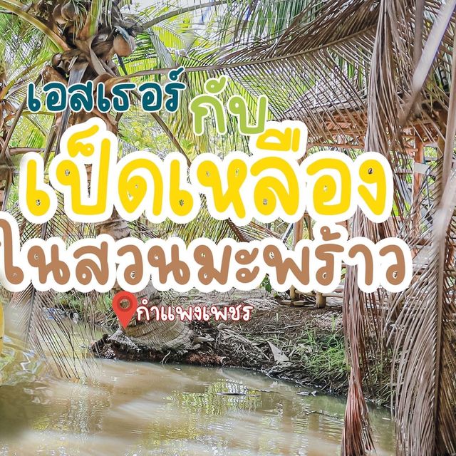 สวนมะพร้าว ป้าสม