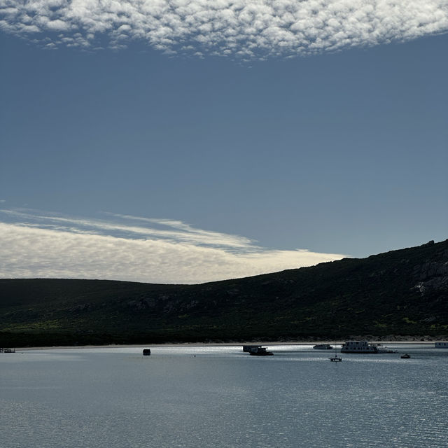 Unveiling the West Coast National Park’s Best-Kept Secret