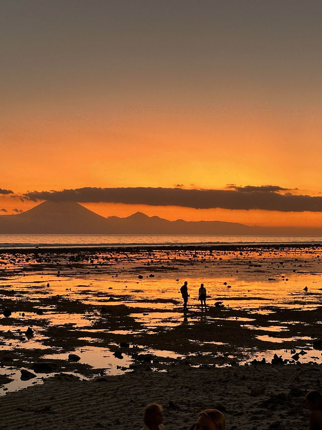「印尼龍目島附近嘅Gili Island，有趣的是島上的交通工具！適合度假！」