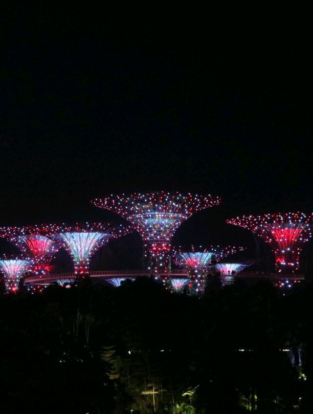 Supertree Grove, the signature attraction in Garden by the bay