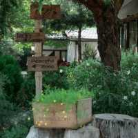 The Humble Jack - คาเฟ่ของกระต่าย Jack 